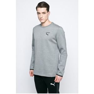 Puma - Felső kép