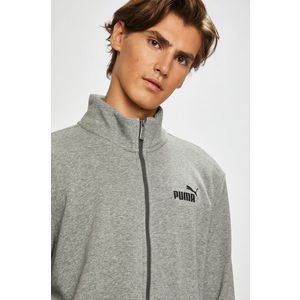 Puma - Felső kép