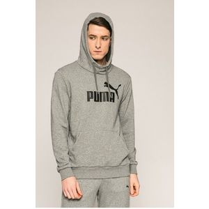 Puma - Felső kép