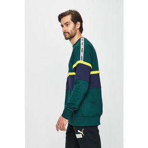 Puma - Felső kép