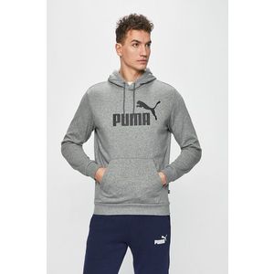 Puma - Felső kép