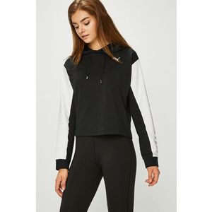 Puma - Felső kép
