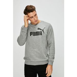Puma - Felső kép