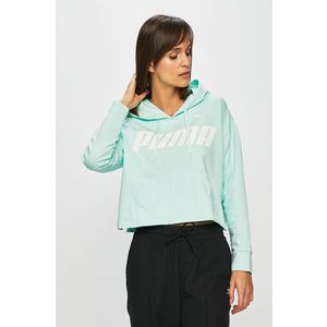 Puma - Felső kép