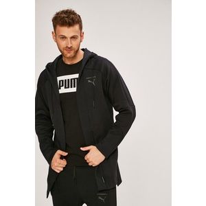 Puma - Felső kép