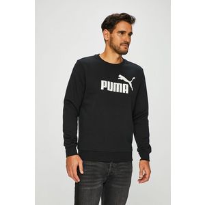 Puma - Felső kép