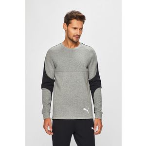 Puma - Felső kép