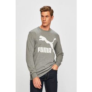 Puma - Felső kép