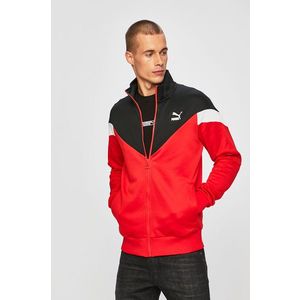 Puma - Felső kép