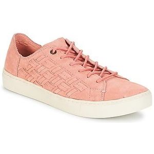 Rövid szárú edzőcipők Toms LENOX kép