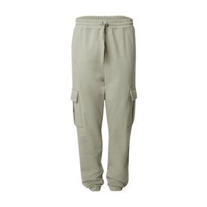 DAN FOX APPAREL Cargo nadrágok 'Taylor' pasztellzöld kép