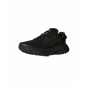 THE NORTH FACE Futócipők 'Altamesa 300' fekete kép