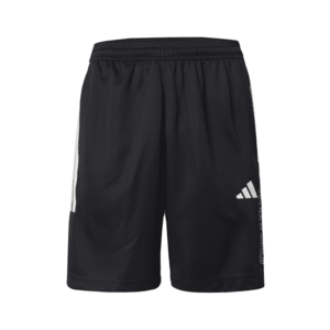 ADIDAS SPORTSWEAR Sportnadrágok 'TIRO' fekete / fehér kép