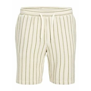 JACK & JONES Nadrág 'JPSTJaiden' khaki / gyapjúfehér kép