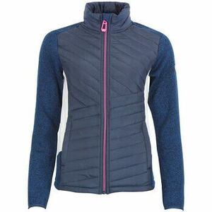 Mellények / Kardigánok Peak Mountain Blouson polaire APONY kép