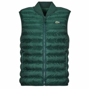 Steppelt kabátok Lacoste BH0537-YZP kép