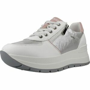Divat edzőcipők IgI&CO Scarpa kép