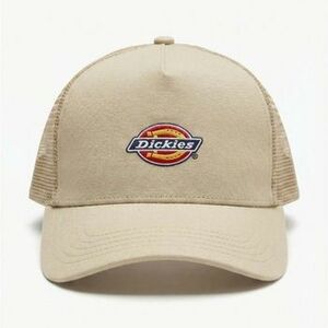 Baseball sapkák Dickies Dk0a4yv3l441 kép