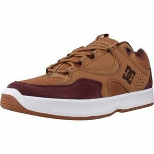 Divat edzőcipők DC Shoes Kalynx Zero kép