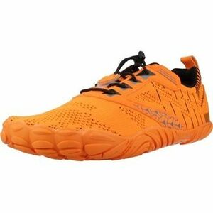 Fitnesz Saguaro Xza055sa kép