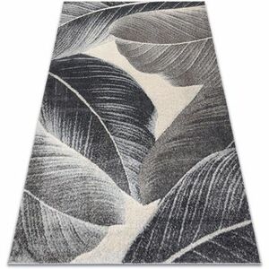 Szőnyegek Rugsx Szőnyeg FUSION 8912 sötétszürke - Tollak, mode 240x330 cm kép