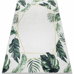 Szőnyegek Rugsx ANDRE 1168 mosható szőnyeg Monstera levelek, geo 80x150 cm kép