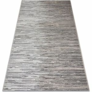 Szőnyegek Rugsx Szőnyeg COLOR 47362965 SISAL vintage bézs 160x230 cm kép