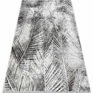 Szőnyegek Rugsx Szőnyeg MATEO 8035/644 Modern pálmalevelek - sze 80x150 cm kép