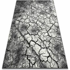 Szőnyegek Rugsx SILVER szőnyeg Terra repedezett szürke 160x220 cm kép