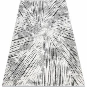 Szőnyegek Rugsx Akril VALS szőnyeg 0W1733 C53 47 Absztrakció 240x340 cm kép