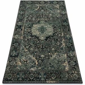 Szőnyegek Rugsx POLONIA gyapjú szőnyeg Dukato Dísz iron zöld 200x300 cm kép