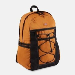 Hátitáskák Dickies Ashville Backpack kép