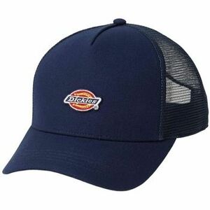 Baseball sapkák Dickies Dk0a4yv3l181 kép