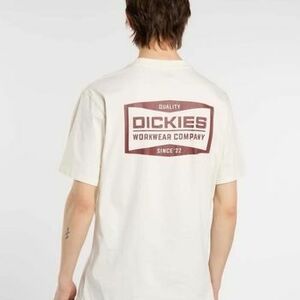 Pólók / Galléros Pólók Dickies Dk0a87qkc481 kép