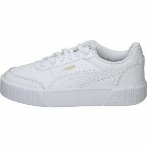 Divat edzőcipők Puma 116887 kép