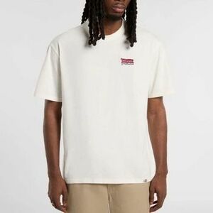 Pólók / Galléros Pólók Dickies Dk0a87qdc481 kép
