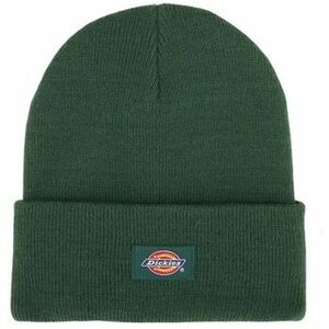 Sapkák Dickies Dk0a4z3rpin1 kép