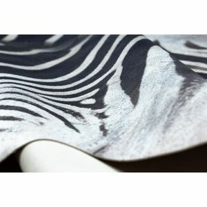 Szőnyegek Rugsx Szőnyeg mesterséges marhabőr, Zebra G5128-1 feh 180x220 cm kép