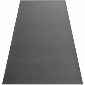 Szőnyegek Rugsx Csúszásgátló szőnyeg RUMBA 1897 egyszínű sà200x250 cm kép
