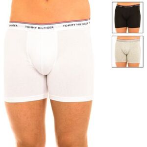 Boxerek Tommy Hilfiger UM0UM00010-004 kép
