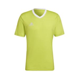 ADIDAS PERFORMANCE Funkcionális felső 'Entrada 22' alma / fehér kép