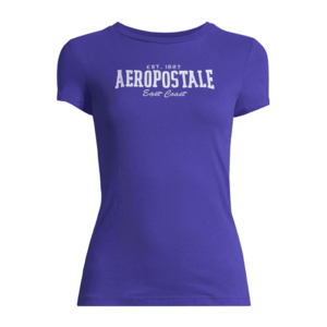 AÉROPOSTALE Póló 'EAST COAST' tengerészkék / világosszürke / orgona kép