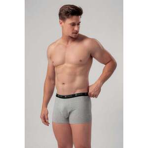 LELOSI Boxer csomag Seoul (3x) L kép