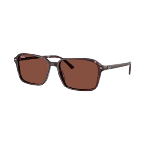 Napszemüvegek Ray-Ban Raimond RB2231 1416C5 kép