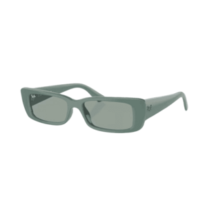 Napszemüvegek Ray-Ban Teru RB4425 676282 kép