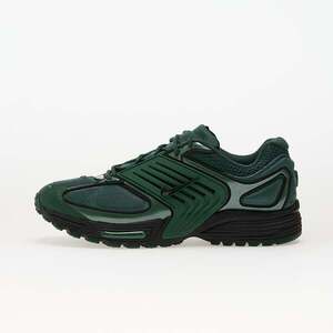 Sneakers Nike Air Pegasus Wave Fir/ Black EUR 40 kép