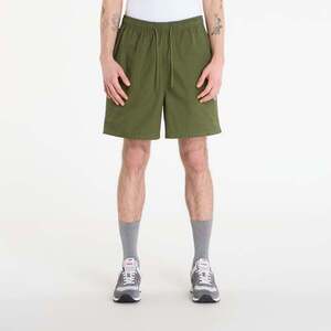 Shorts Dickies Pelican Rapids Cypress L kép