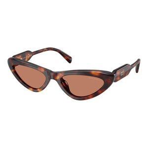 Miu Miu MUB11SU 27L90Q ONE SIZE (55) Havana Férfi Napszemüvegek kép