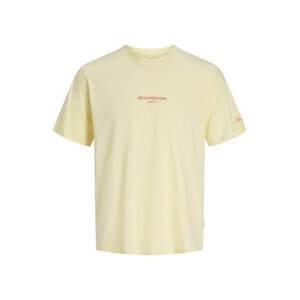 JACK & JONES Póló 'JORHyeres' világoskék / pasztellsárga / narancs / málna kép