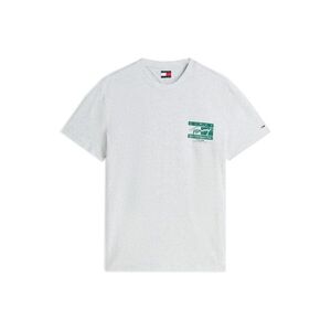 Tommy Jeans Póló 'Signature Logo Peached' világosszürke / benzin kép
